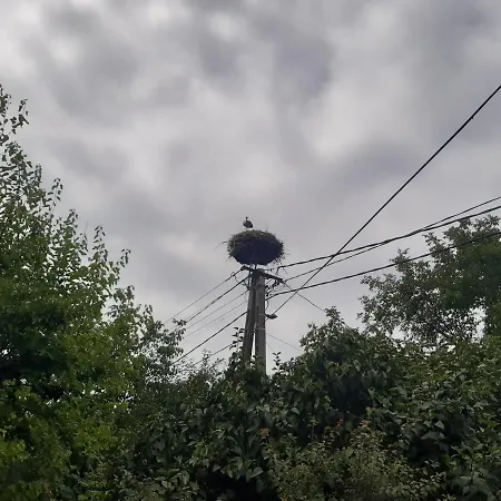 Balaton Apartment Fonyod