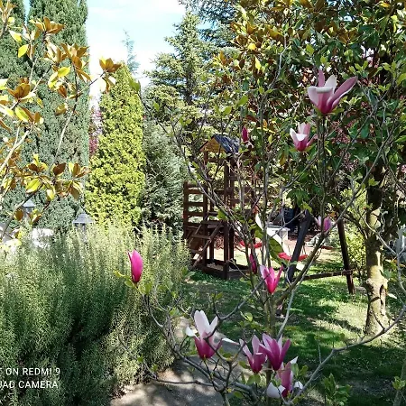 Apartament Balaton